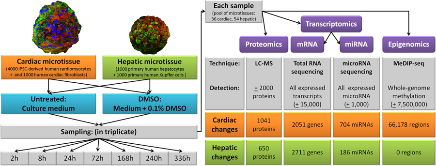 DMSO graphic